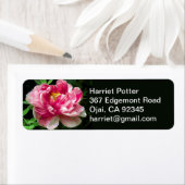 ピンク色の白い牡丹の水色の素晴らしフローラ ラベル (インサイチュ)