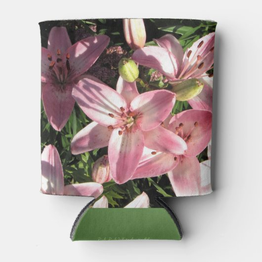ピンク色の白アジアのユリ 缶クーラー (正面)