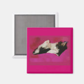 ピンク色の眠い子猫 マグネット (正面/裏面)