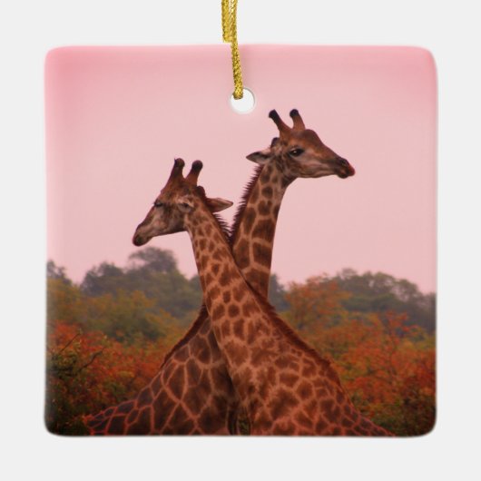 ピンク色の空を持つキリン セラミックオーナメント (正面)