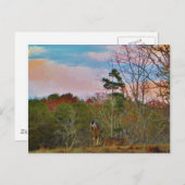 ピンク色の空を持つ鹿 ポストカード (正面/裏面)