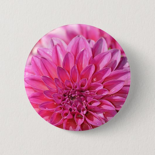 ピンク色の紅花の花 缶バッジ (正面)