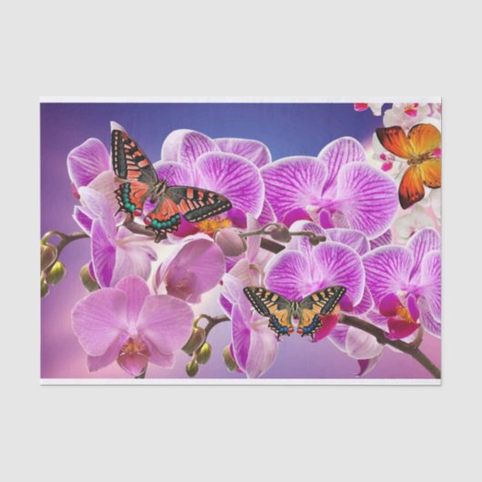 ピンク色の紫の蝶の蘭の花の水色 薄葉紙 (正面)