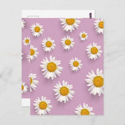 ピンク色の背景に明るいデイジーパターン ポストカード (正面/裏面)