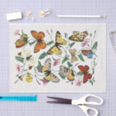 ピンク色の花々の中の蝶の氾濫 薄葉紙 (クラフト)