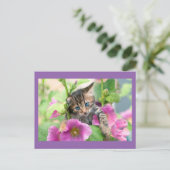 ピンク色の花が咲くかわいい猫 ポストカード (スタンド正面)