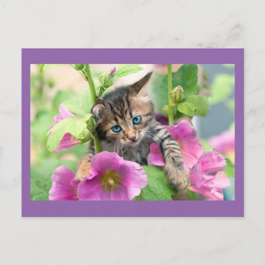 ピンク色の花が咲くかわいい猫 ポストカード (正面)