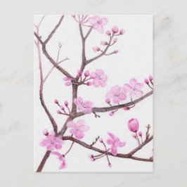 ピンク色の花が咲く春 ポストカード