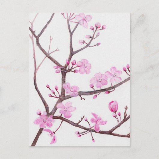 ピンク色の花が咲く春 ポストカード (正面)