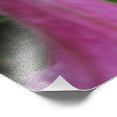 ピンク色の花に露が落ちる フォトプリント            (角)