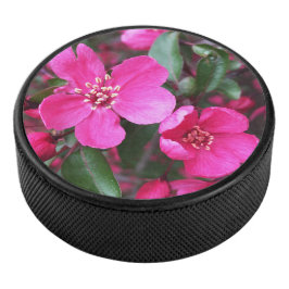 ピンク色の花のクラベリン アイスホッケーパック