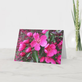 ピンク色の花のクラベリン カード