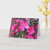 ピンク色の花のクラベリン カード (黄色い花)
