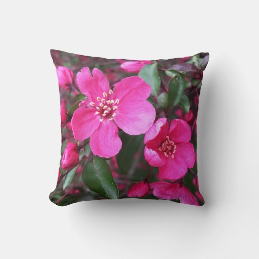ピンク色の花のクラベリン クッション (正面)