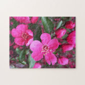ピンク色の花のクラベリン ジグソーパズル (横)