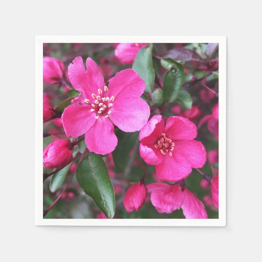 ピンク色の花のクラベリン スタンダードカクテルナプキン (正面)