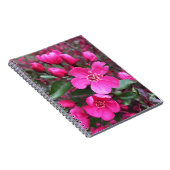 ピンク色の花のクラベリン ノートブック (右側)