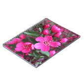 ピンク色の花のクラベリン ノートブック (左側)