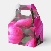 ピンク色の花のクラベリン フェイバーボックス (裏面サイド)