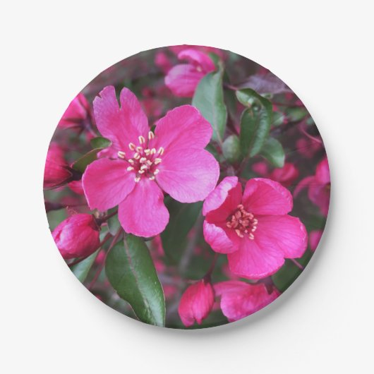 ピンク色の花のクラベリン ペーパープレート (正面)
