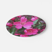 ピンク色の花のクラベリン ペーパープレート (アングル)