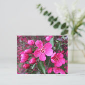 ピンク色の花のクラベリン ポストカード (スタンド正面)