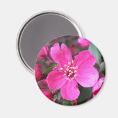 ピンク色の花のクラベリン マグネット (正面/裏面)