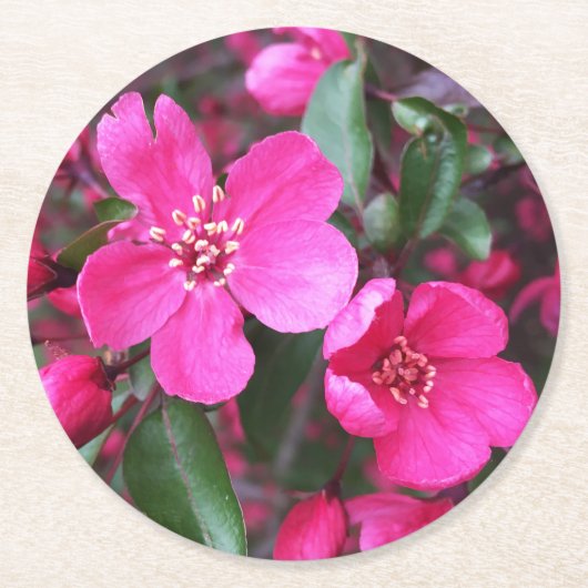ピンク色の花のクラベリン ラウンドペーパーコースター (正面)