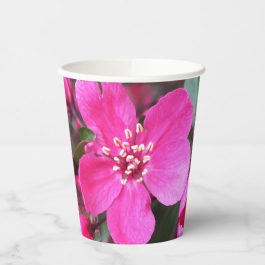 ピンク色の花のクラベリン 紙コップ (左)