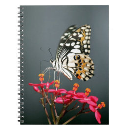 ピンク色の花の白い黒と黄色の蝶 ノートブック