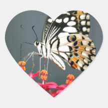 ピンク色の花の白い黒と黄色の蝶