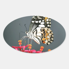 ピンク色の花の白い黒と黄色の蝶 楕円形シール