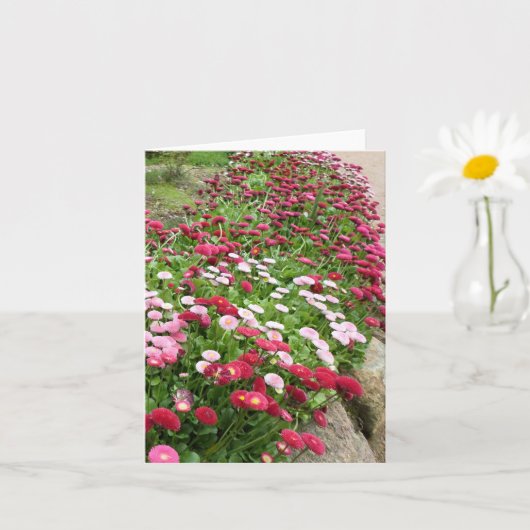 ピンク色の花の開花 カード (小さな植物)