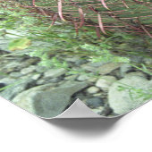 ピンク色の花びらサボテン砂漠の写真のポスター ポスター (角)