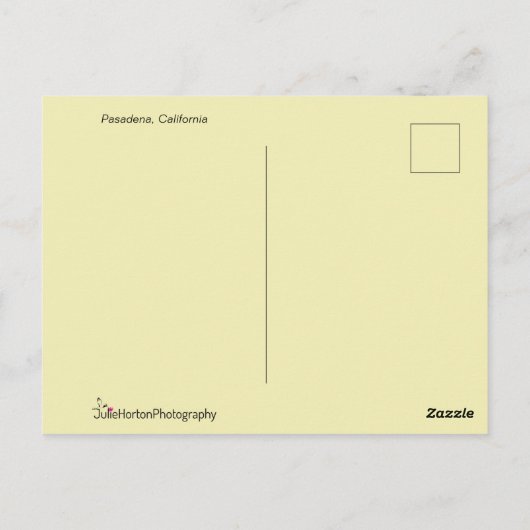 ピンク色の花を咲かせる白い蝶 ポストカード (裏面)