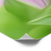 ピンク色の花を咲かせる美しいハチ ポスター (角)