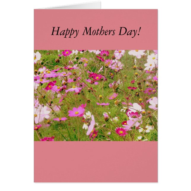 ピンク色の花畑 (正面)