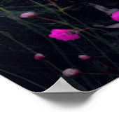 ピンク色の花畑 ポスター (角)