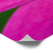 ピンク色の花 ポスター (角)