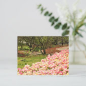 ピンク色の花 ポストカード (スタンド正面)