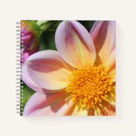 ピンク色の花、明るい黄色の中央 – マクロフォト ノートブック