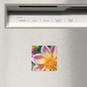 ピンク色の花、明るい黄色の中央 – マクロフォト マグネット (インサイチュ (食洗機))