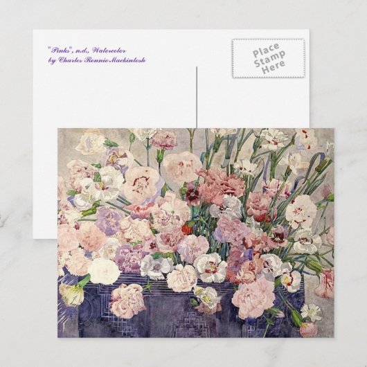 ピンク色の花by Mackintosh – はがき (正面/裏面)