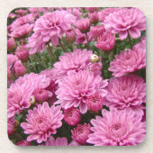 ピンク色の菊の海#2 コースター (正面)