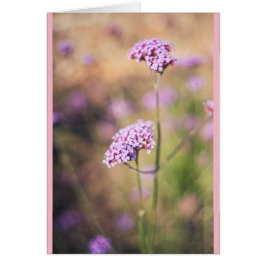 ピンク色の野生の花