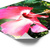 ピンク色の開花 フォトプリント            (角)