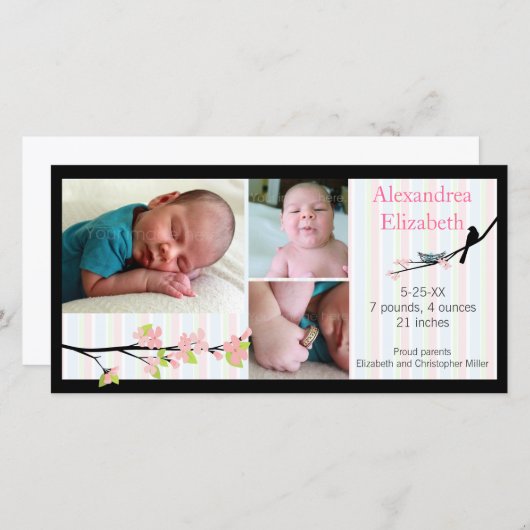 ピンク色の鳥と花の生誕発表 案内状 (正面/裏面)