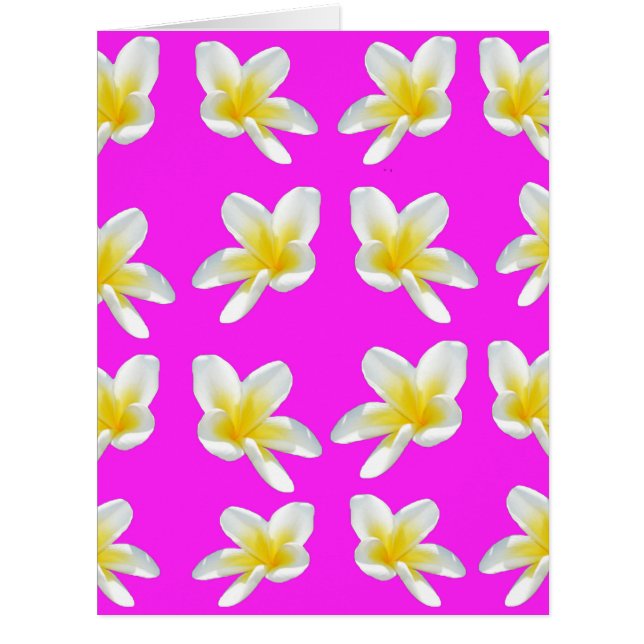 ピンク色の黄色いフランジパニス (正面)