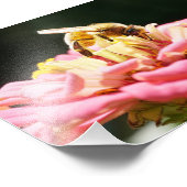 ピンク色の《植物》百日草に可愛いミツバチ フォトプリント            (角)