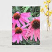 ピンク色のConeflowerグリーティングカード カード (黄色い花)